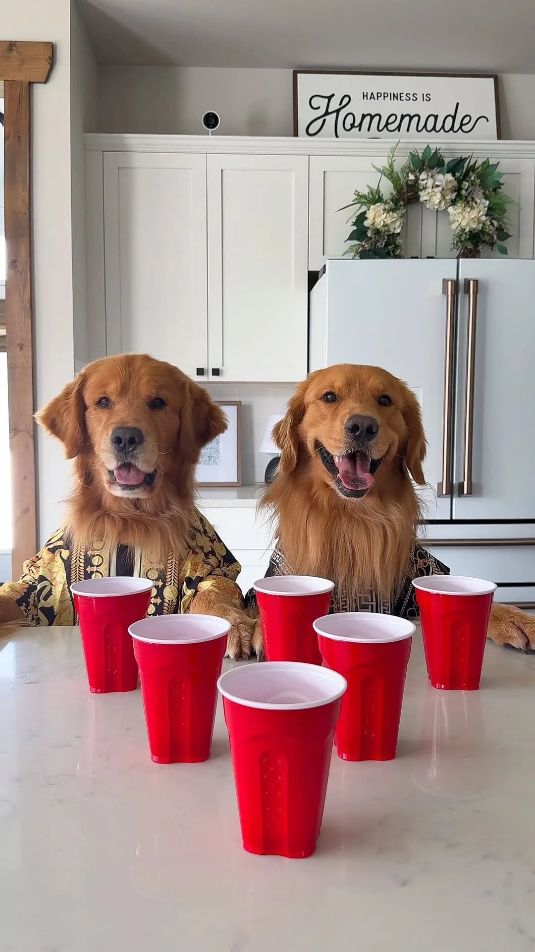 Born from Real Dog Chaos