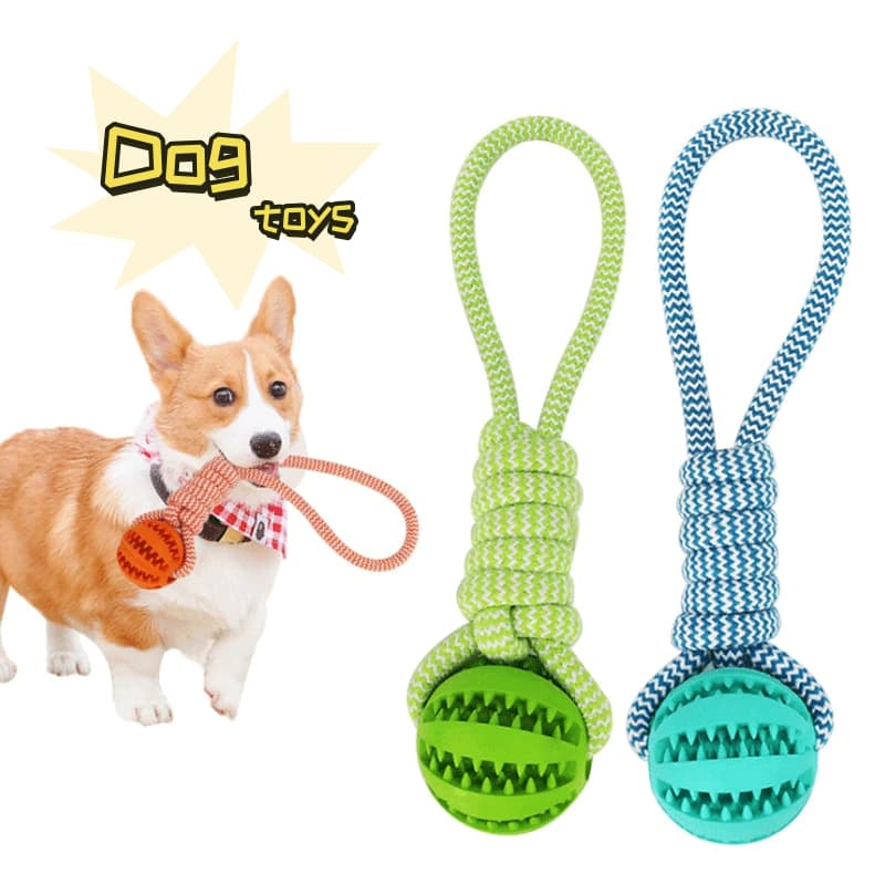 Interactive Treat Rope Toy